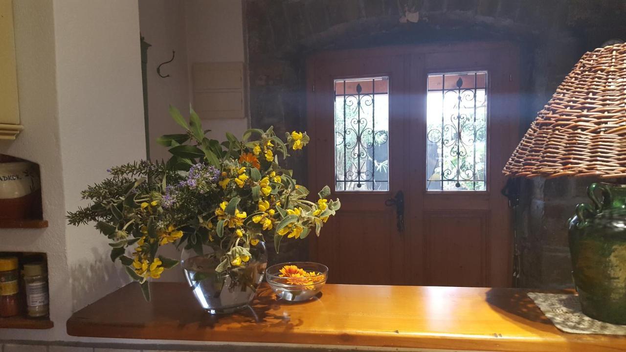 Istrian Stone House Βίλα Sečovlje Εξωτερικό φωτογραφία