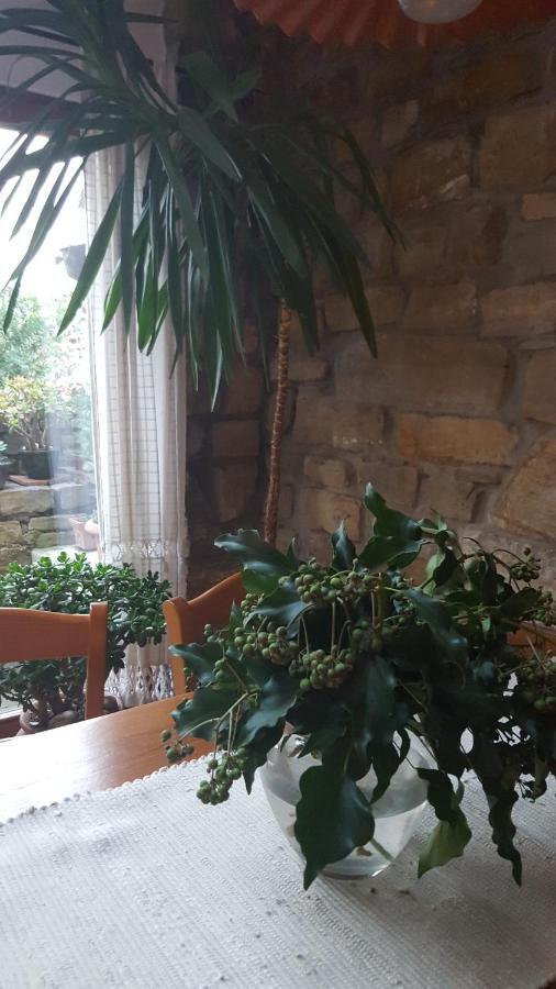 Istrian Stone House Βίλα Sečovlje Εξωτερικό φωτογραφία